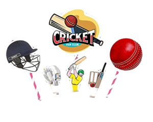 Signative Cake Decor Cricket Fan Club Tag Cake Topper - DT 2146