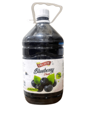 Frujoy Blueberry Crush – 5Ltr